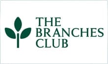 http://162.241.140.166/~thebranches