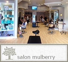 Image: Case Studies: Salon Mulberry - NicheLabs: Digital Marketing Agency