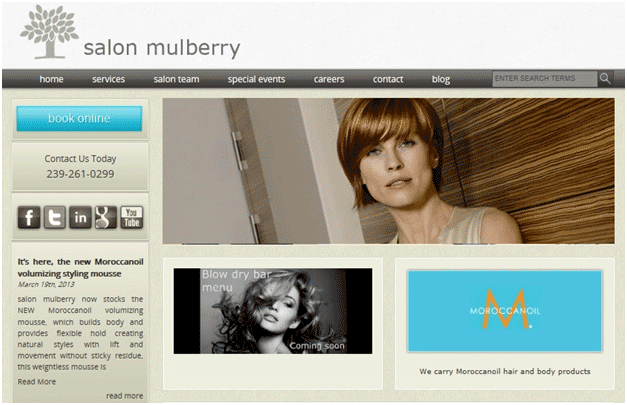 Image: Salon Mullberry web design project by NicheLabs: Digital Marketing Agency